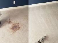 Carpet Cleaning Leesburg VA image 1